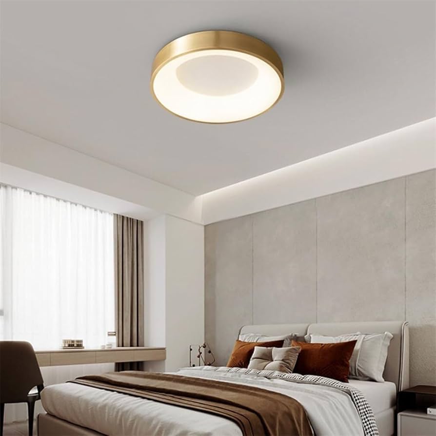 ZXKLXYY Fixtures Chandelier LED Flush Mount Ceiling Light